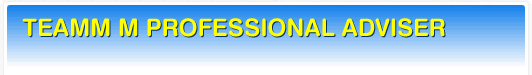 TEAM M PROFESSIONAL ADVISER
